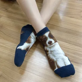 Dogs Ankles - Border Collie Navy